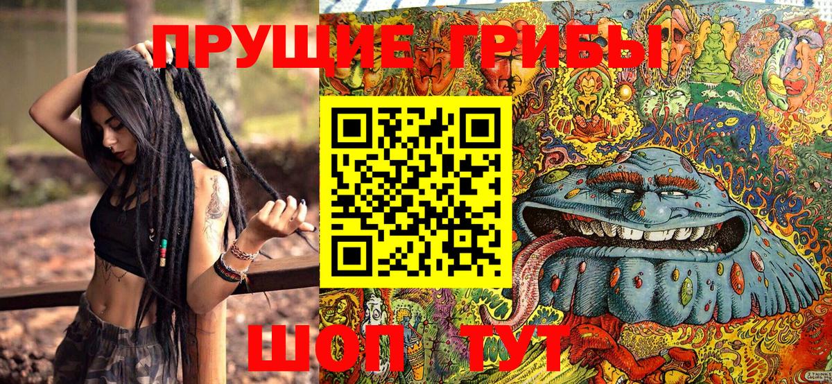 Галлюциногенные грибы Psilocybe Гай